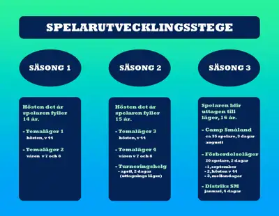 Spelarutv Stege Ver 2