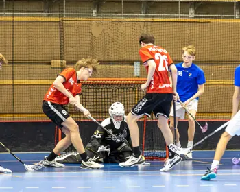 Pojkar 16 Danderyds SK IBF Vs Hässelby SK IBK N