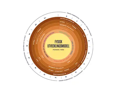 Fysisk Utvecklingsmodell Pojkar Män För Vit Bakgrund Minskad