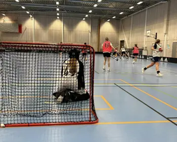 430657343 730892355816281 6134035038197667498 N