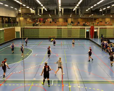 Parainnebandy Arena Skövde