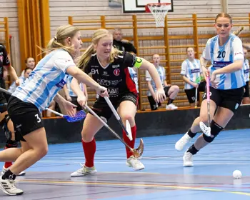 Partille Landvetter November 24