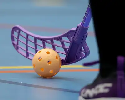 Unihoc Lila Blad Boll Skor