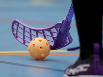 Unihoc Lila Blad Boll Skor