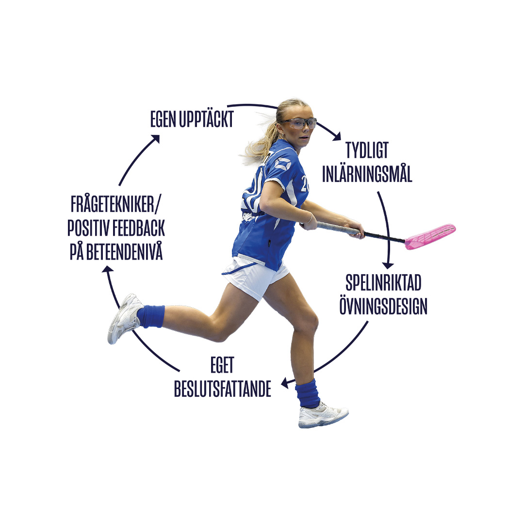 Guided Discovery För Vit Bakgrund Minskad