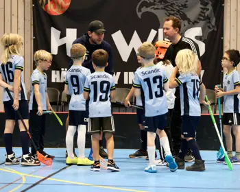 Samling @Niclasastrand