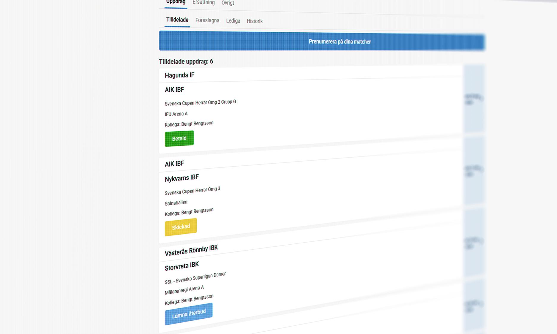 Ibis Matcher Mockup