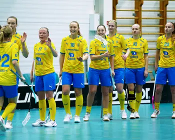 VM Kvalsverige (1)