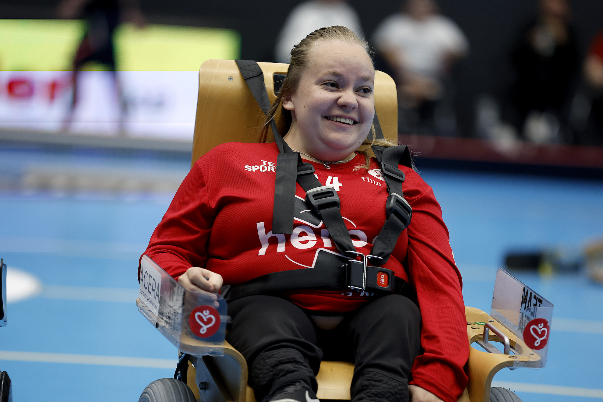 Elinnebandybefintliga