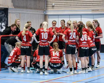 Hässelby Innebandy Dam