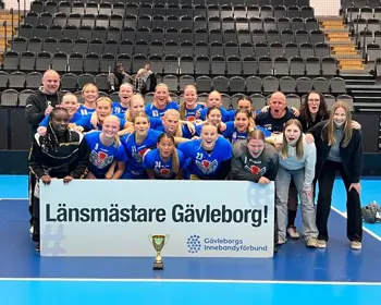 GÄVLE GIK