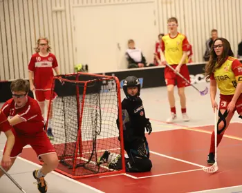 Ungdomsspelare