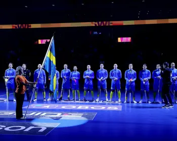 Sverige Flagga (1)