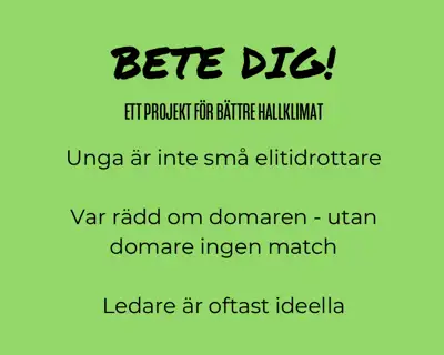 Skärmavbild 2024 10 29 Kl. 13.46.10