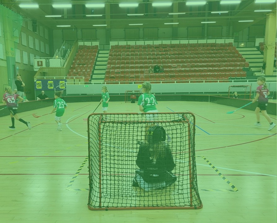  - Grön nivå - så här gör vi