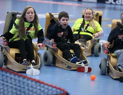 Parainnebandy Elinnebandy