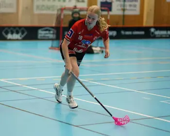 Sävsjö Bild