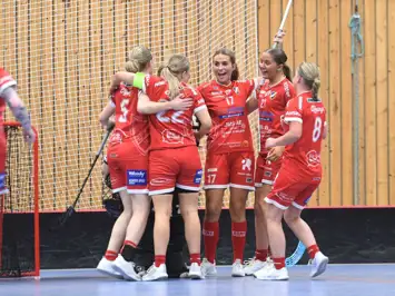 Dottevik