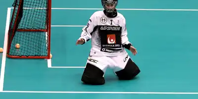 Ensam målvakt vid målet