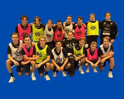 Kopia Av Kopia Av Kopia Av Hallands Innebandyfo Rbund 2