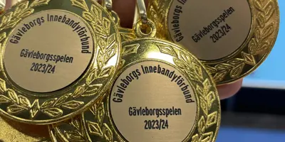 Medaljer GS (1)