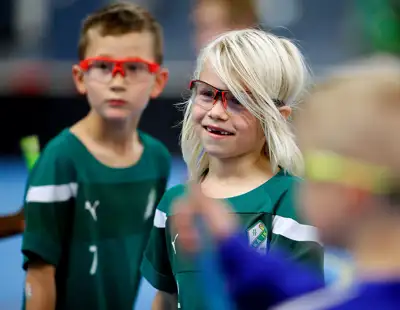 Svenskinnebandyvill Syfte 1