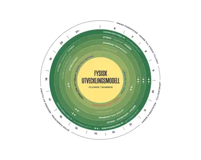 Fysisk Utvecklingsmodell Flickor Kvinnor För Vit Bakgrund Minskad